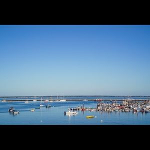 Meet your Posher, Shira